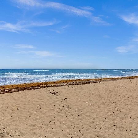 The Shell On Walnut Studio With Bath Hollywood Beach Free Parking Дания-Бич Экстерьер фото